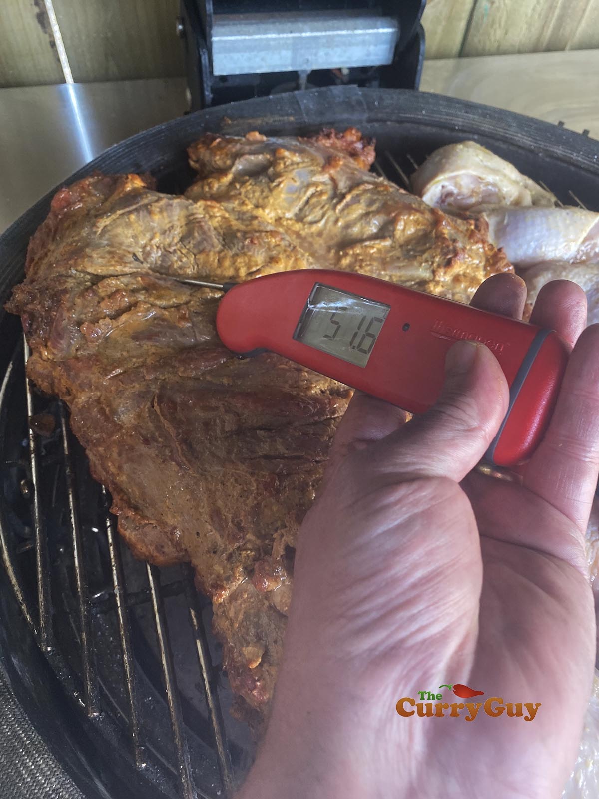 Check temperature of meat