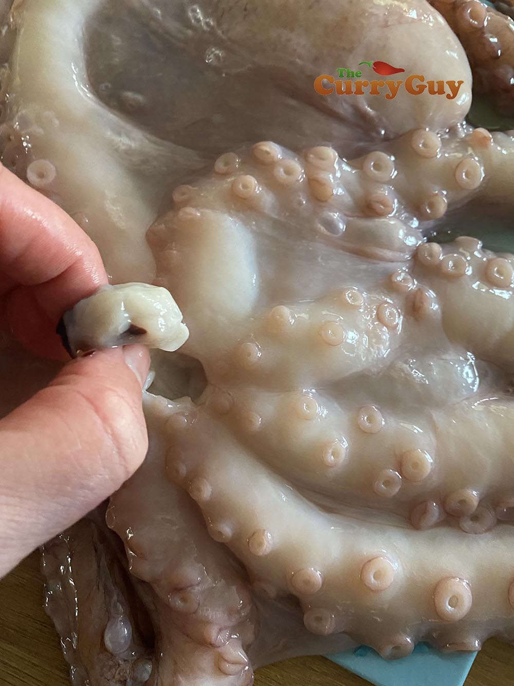 Curring out the beak