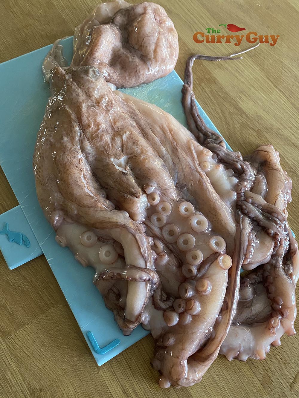 Octopus
