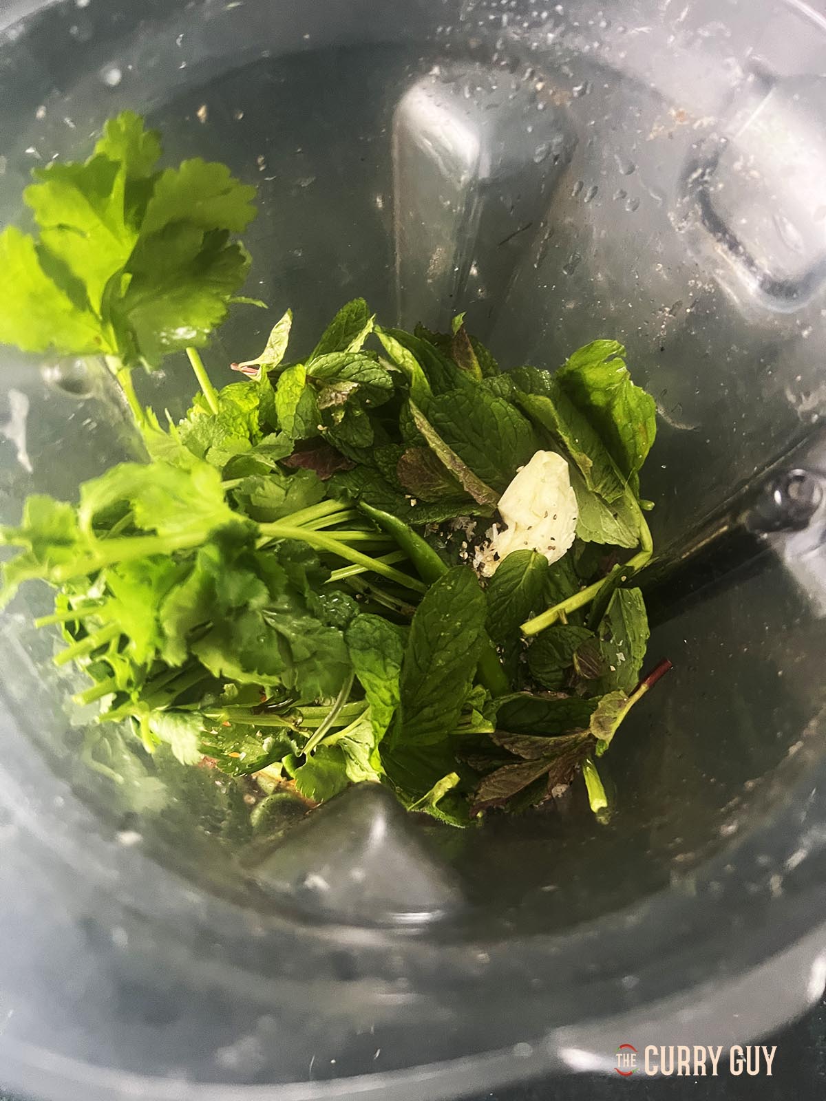 All of the ingredients in a blender.