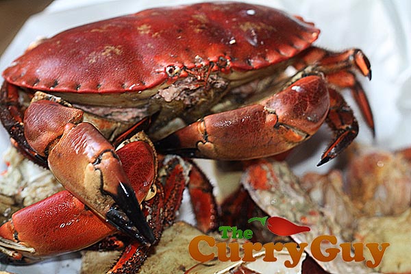 Making Jaffna crab curry