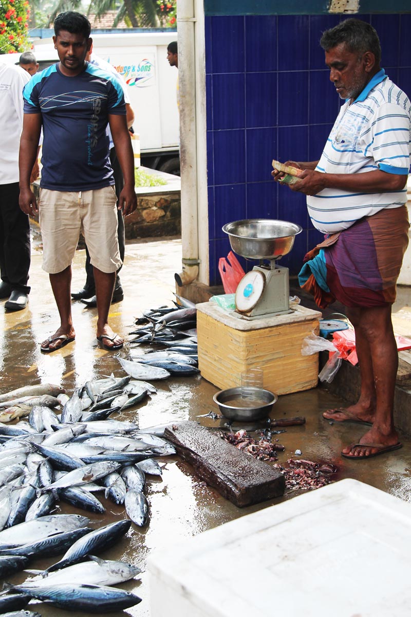 Fish market near Hikka Tranz