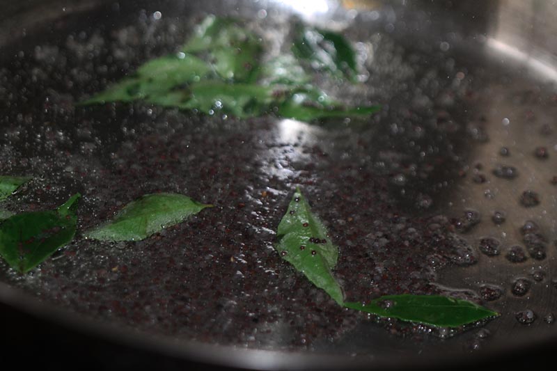 Starting pork mince vindaloo sauce