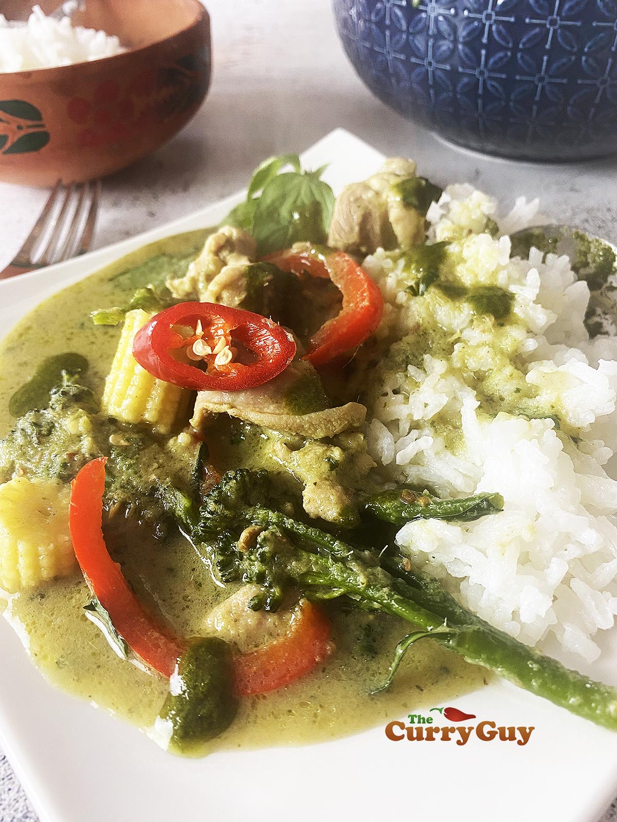 Thai Green Curry on Rice