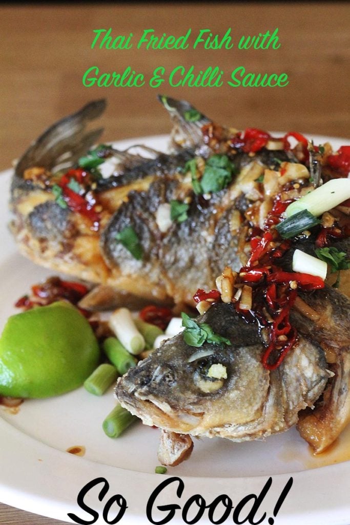 Thai fried fish with garlic and chilli sauce
