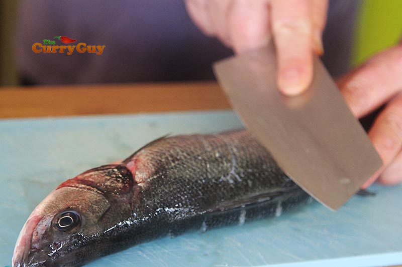 Making slits in the skin