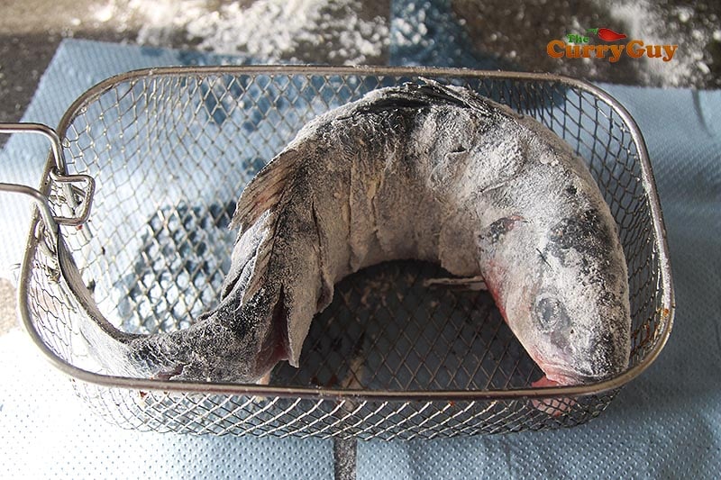 Fish positioned in S shape