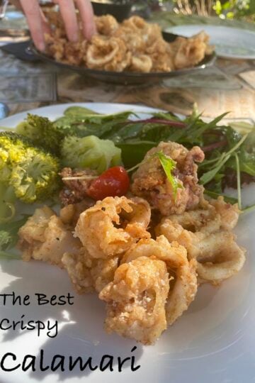 Fried Calamari
