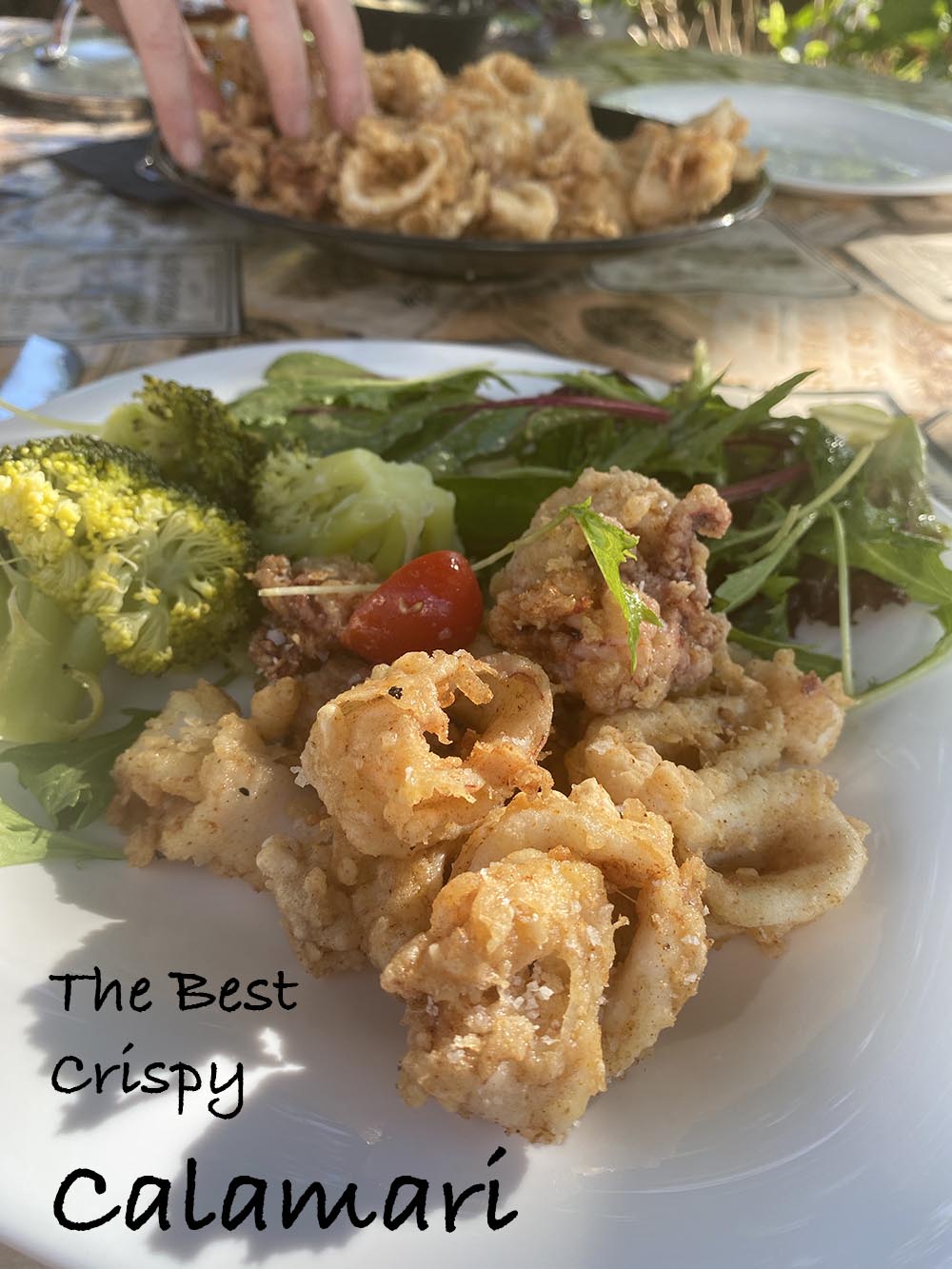 Fried Calamari