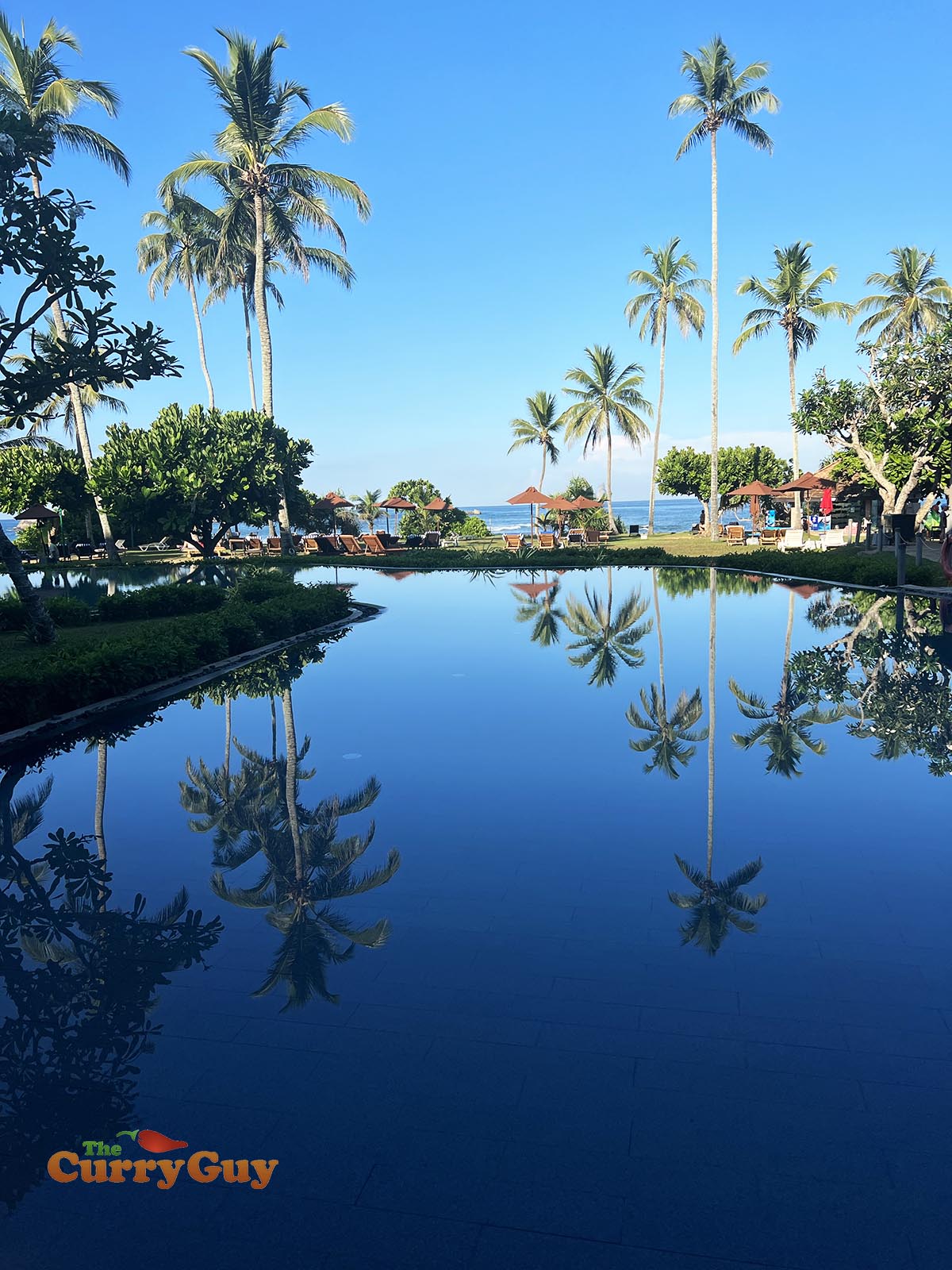 Cinnamon Hikka Tranz