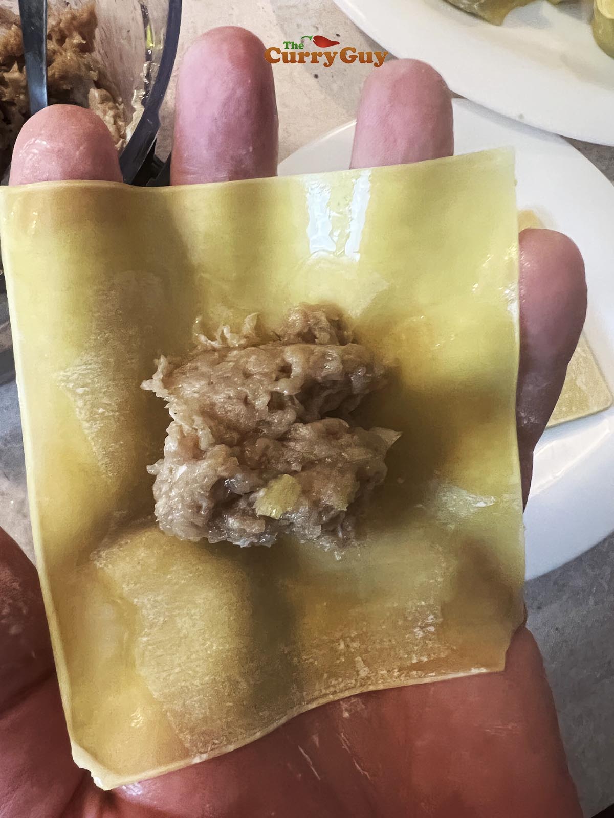 Filling wontons for wonton soup