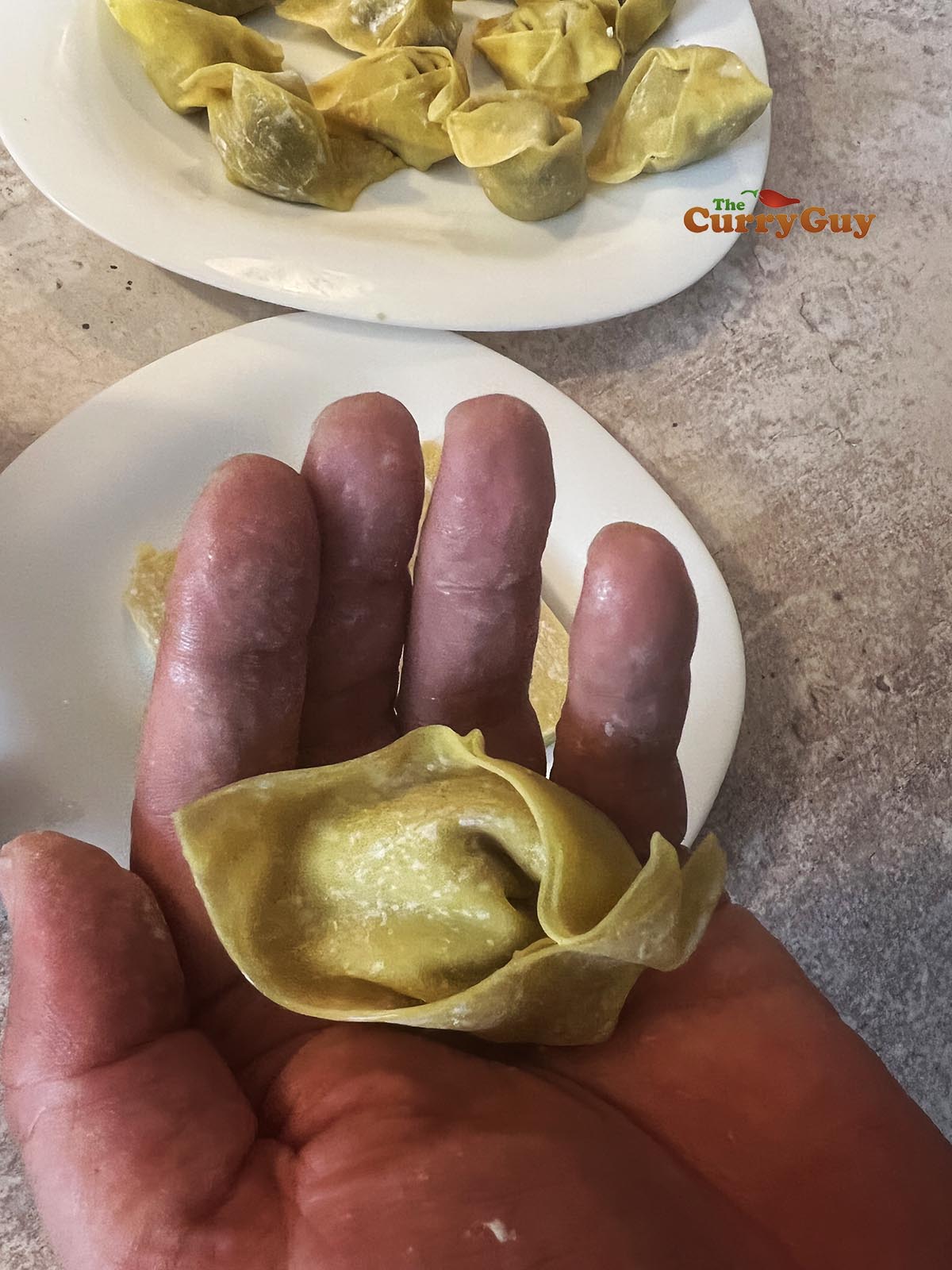 Wonton for spicy wonton soup