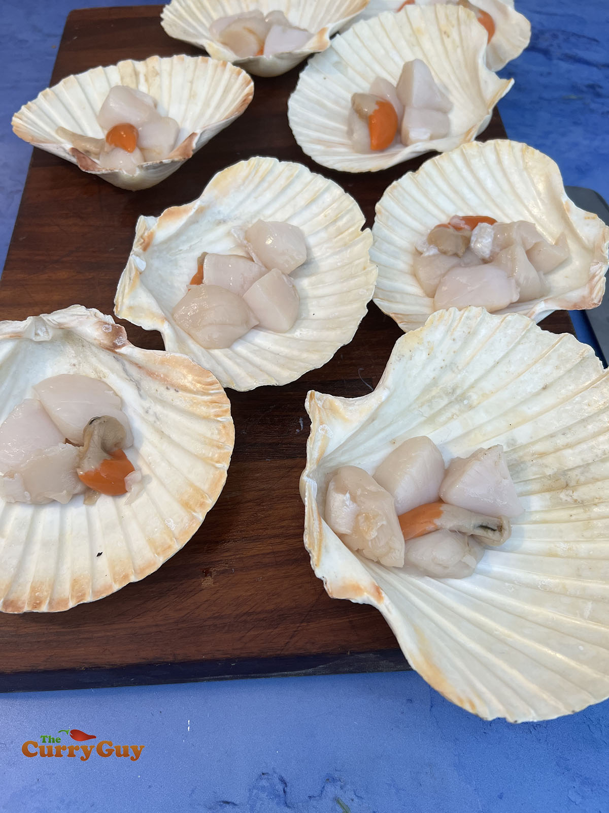 Scallops in shells