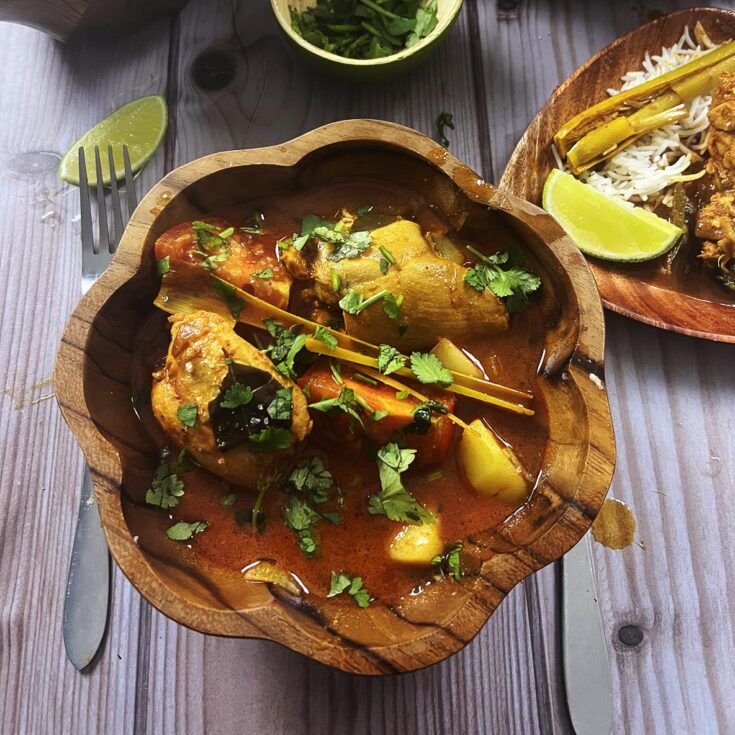 Malaysian chicken curry - kari ayam