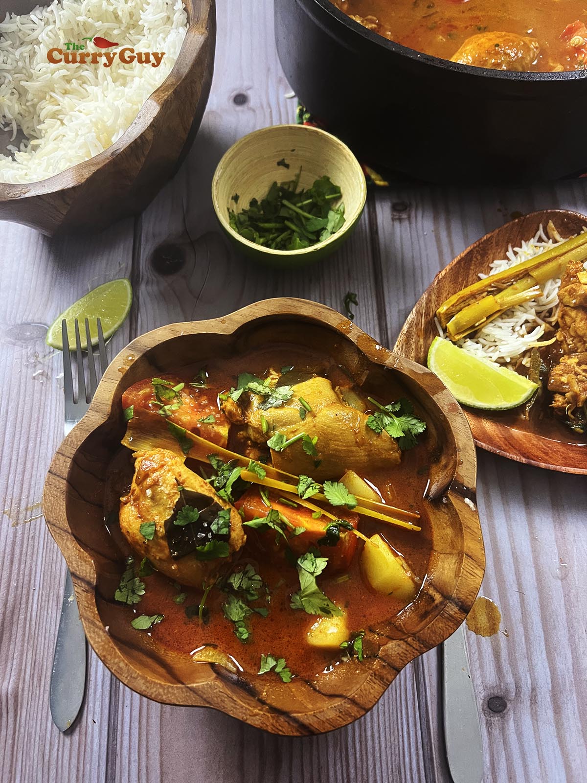 Malaysian chicken curry - kari ayam