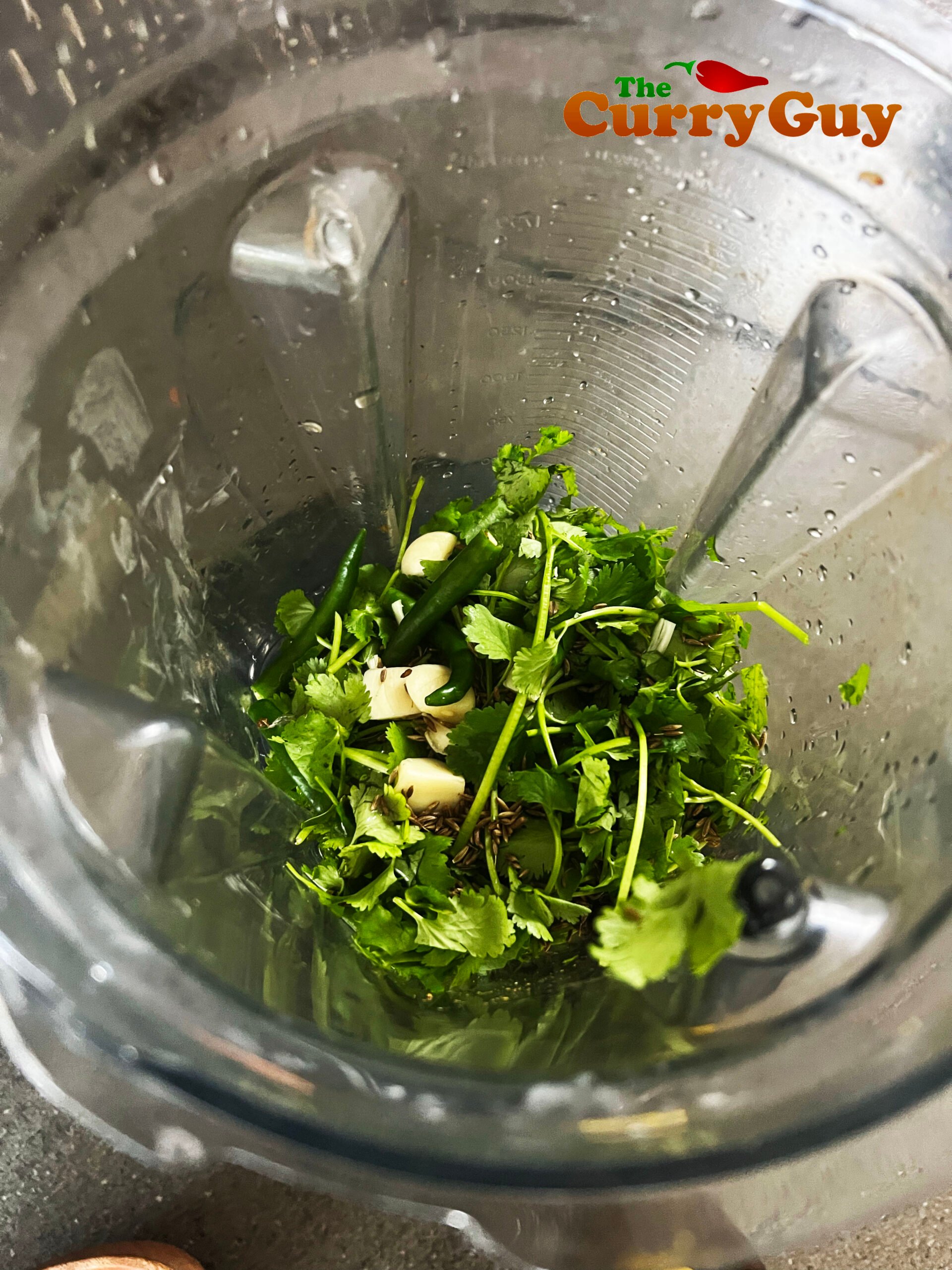 The coriander,chillies garlic and lemon ready to blend. 