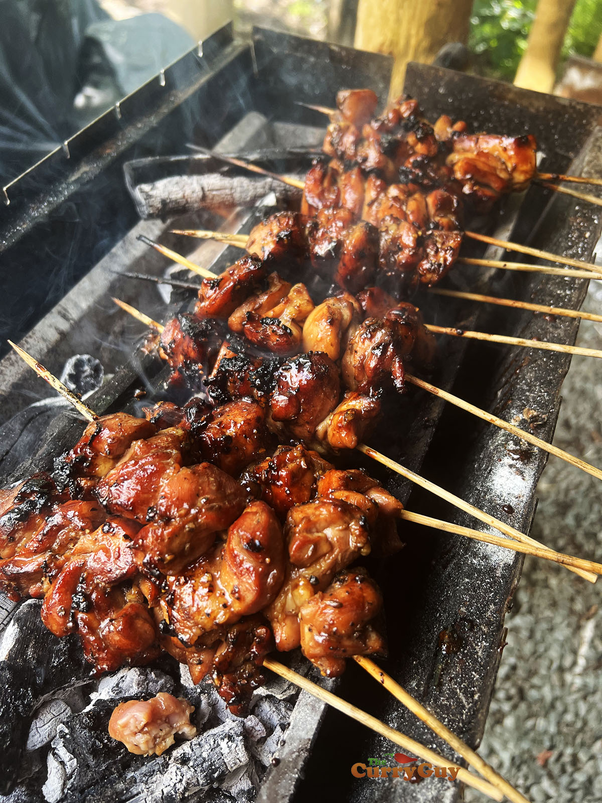 Indonesian chicken satay