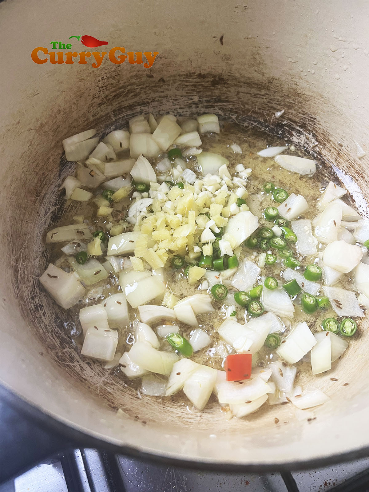 Cumin seeds, chillies, garlic, ginger and onion frying in a pan
