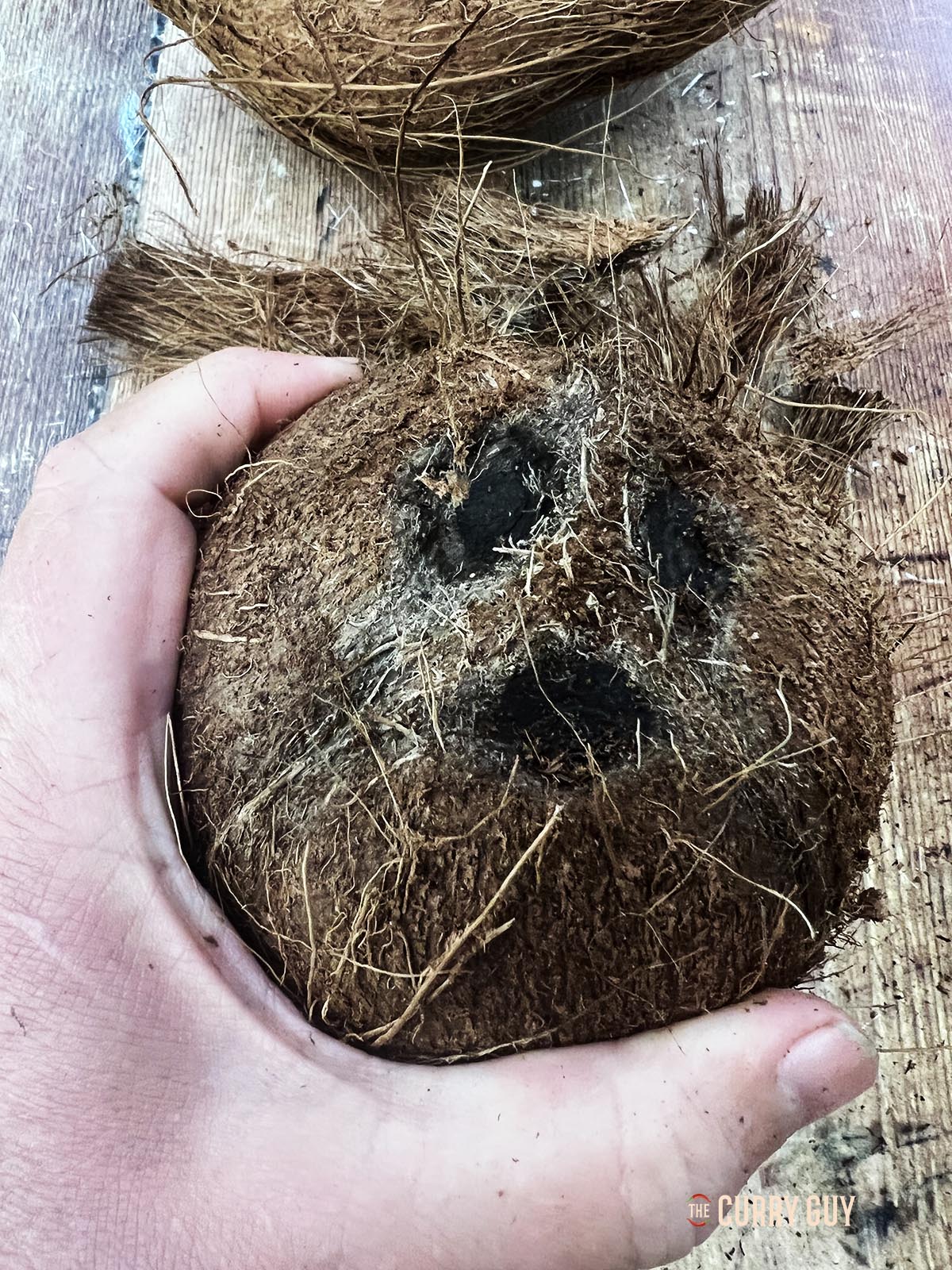 Showing the eyes of the coconut.