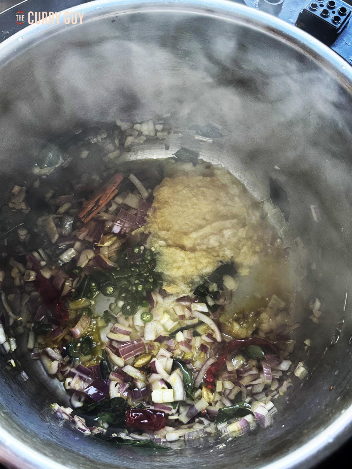 Stirring the garlic and ginger paste and the chopped chillies into the pot.
