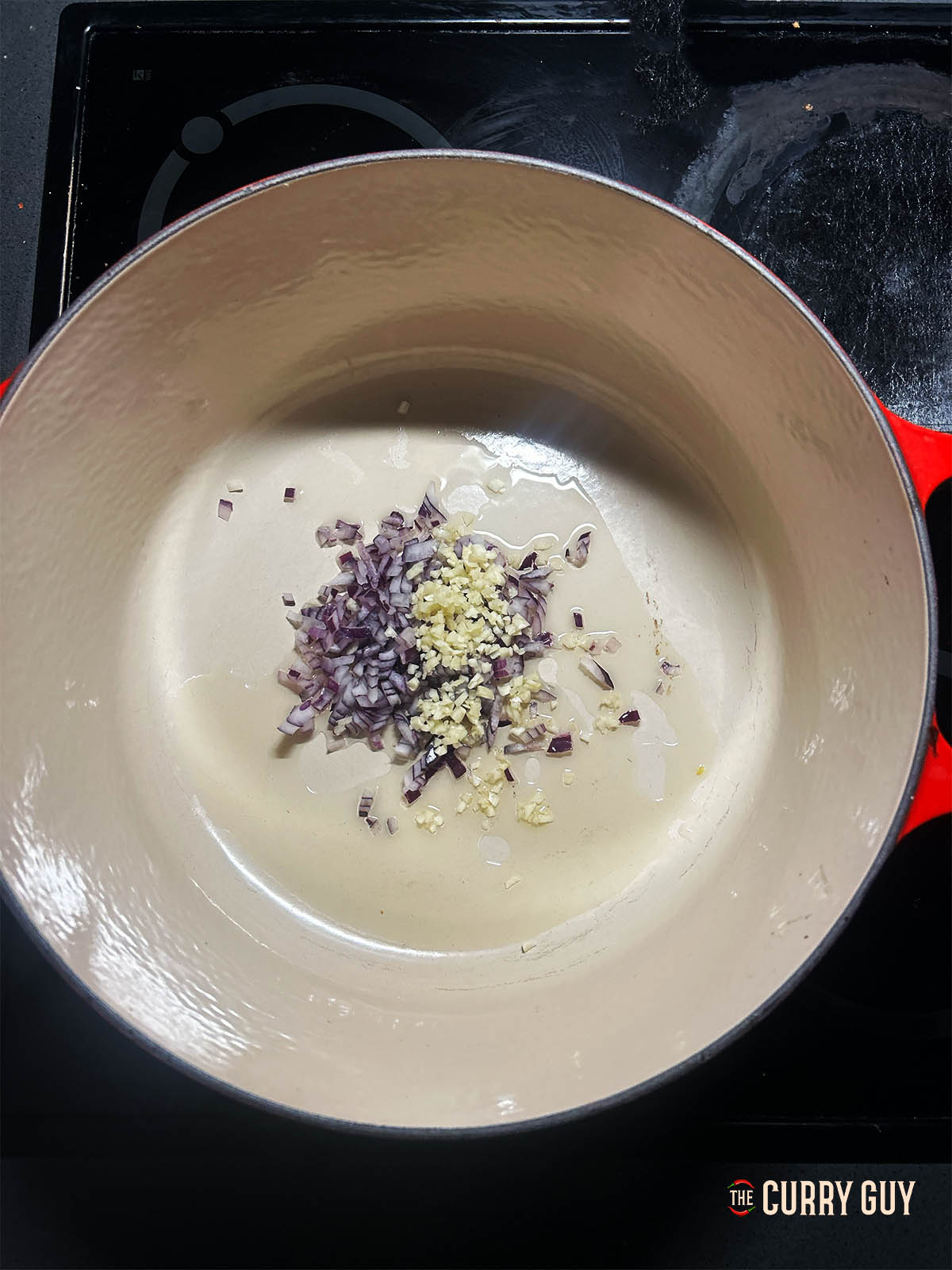 Frying the chopped onion and garlic in a pot.